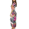 Anavah Dress Zebra Print