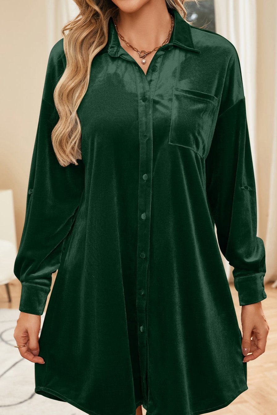 Velvet Collared Neck Long Sleeve tunic