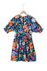 Blue Collared Split Neck Floral Flared Dress