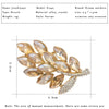 New Fashion Girl Dress Crystal Brooches High Quality Rhinestone Broach Jogos Vorazes Leaves  Brooches For Women Wedding  X1452